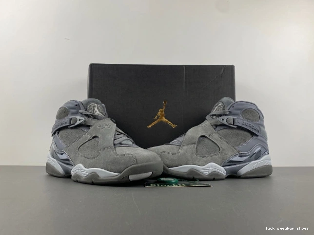 Cheap LUCY Retro Grey Jordan 305381-014 8 Cool 0813